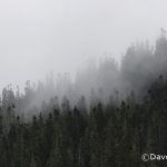 Mt. Elma, Strathcona Provincial Park, BC