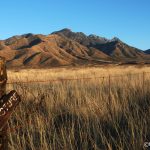 Santa Rita Mountains near Madera Canyon