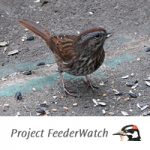 Project FeederWatch