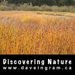 Woodhus Slough Podcast