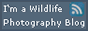 Wildlife Photography Blogs