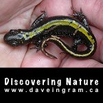 Discovering Nature