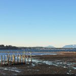 Oyster Bay