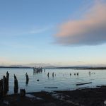 Oyster Bay