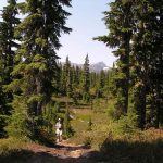 Trail to Hairtrigger Lake