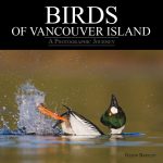 Birds of Vancouver Island Birds of Vancouver Island