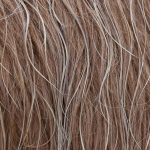 Hair