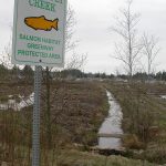 Caddisfly Creek, April 6, 2006 - Salmon Habitat