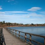 Floating Boardwalk