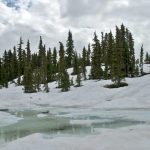 Snow Near Hairtrigger Lake