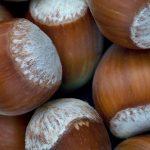 Hazelnuts