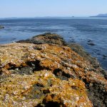 Brooks Point