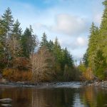 Confluence of Dove Creek and Tsolum River