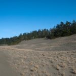 Wickaninnish Dunes #2