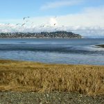 Trent River Estuary