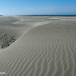 Sand Patterns