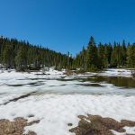 Paradise Meadows Pond