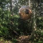 Free Spirit Spheres