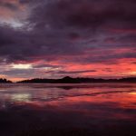 Long Beach Reflections