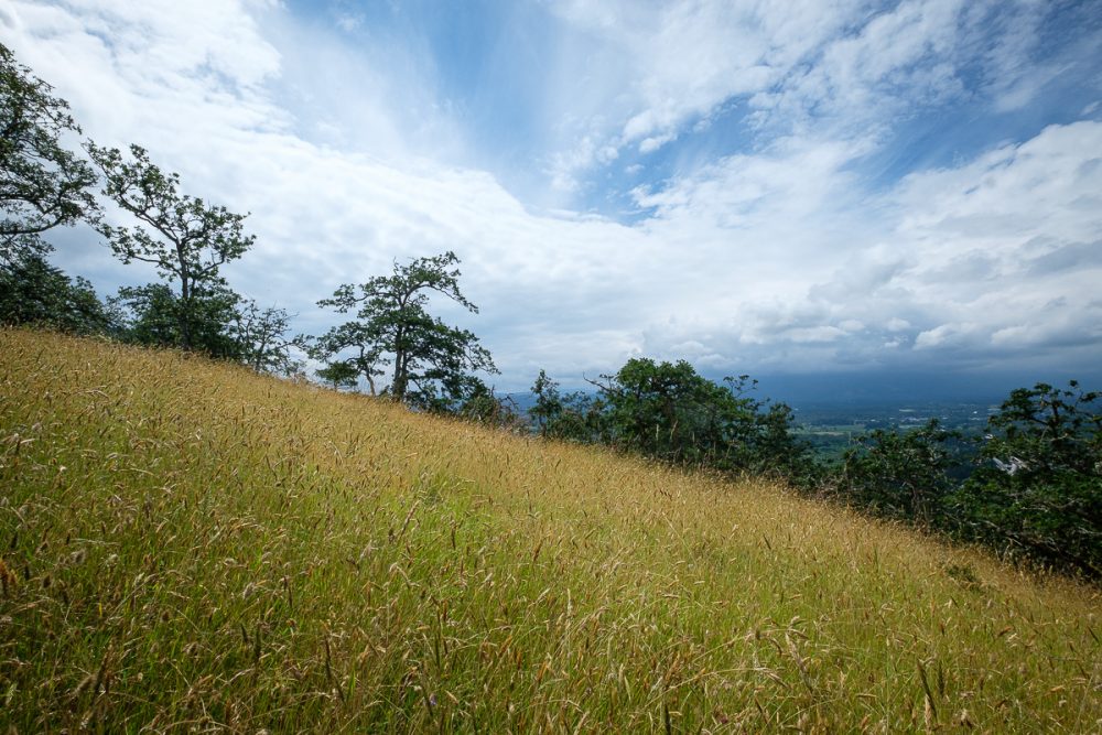 Grassy lookout at Mount Tzouhalem Ecological Reserve near Duncan, British Columbia.