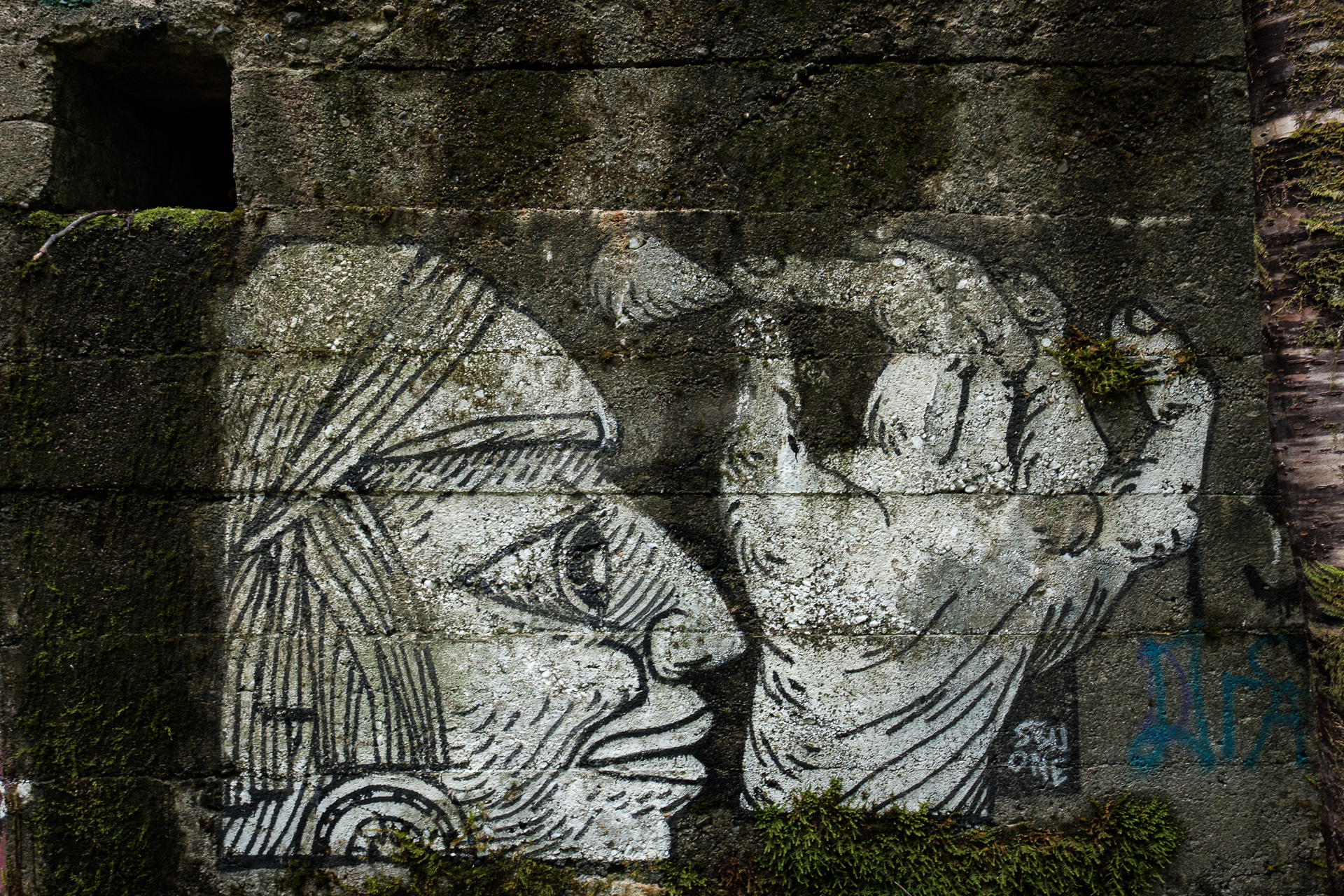 Bevan Trail: A Walk to No. 7 Mine