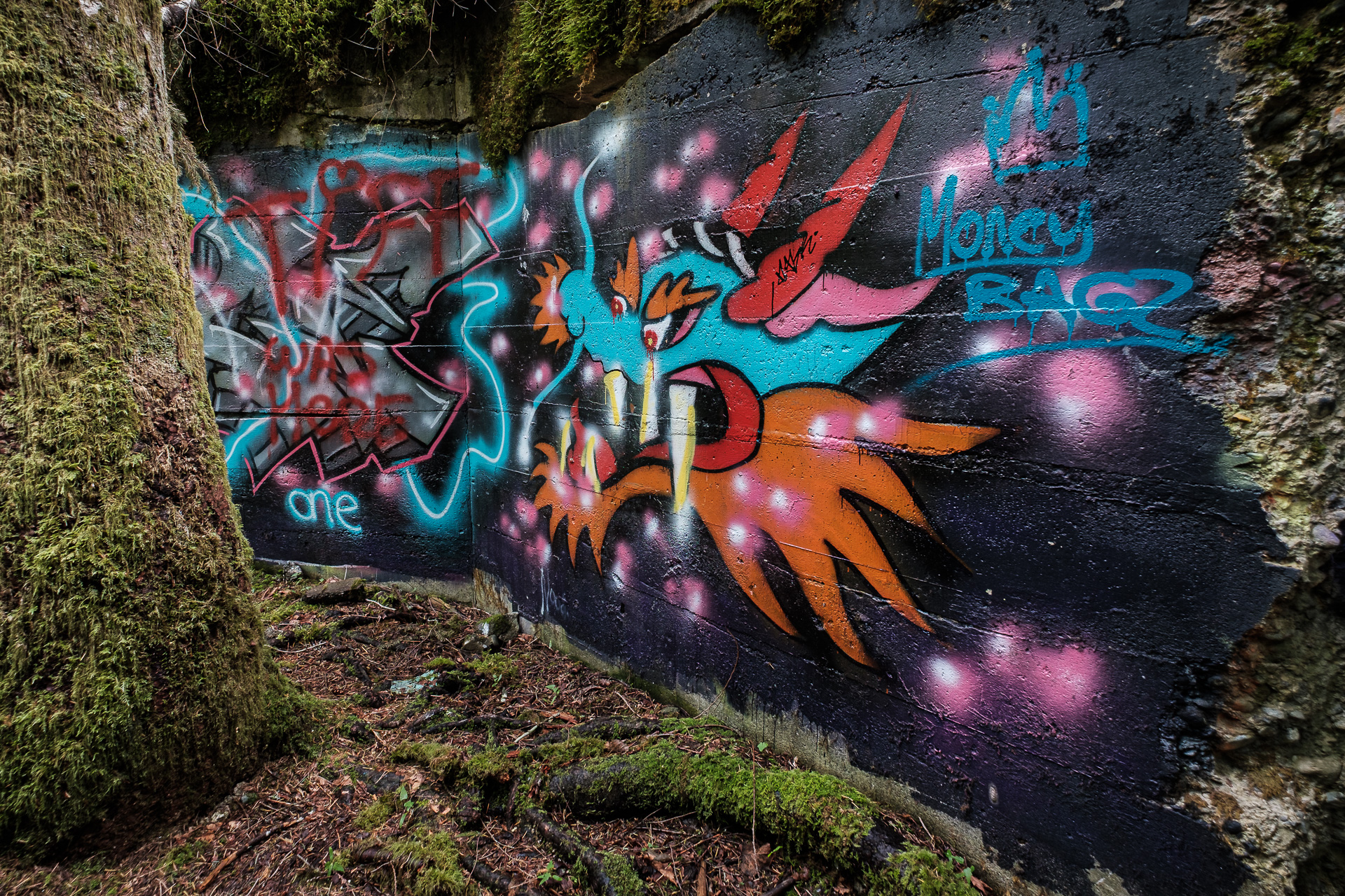 Dragon Graffiti