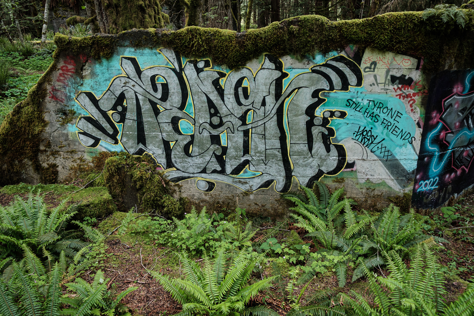 Graffiti - Low Wall