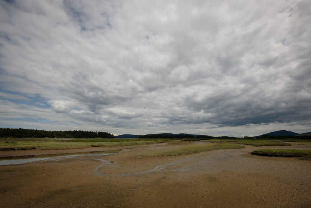 Chemainus Estuary Mudflats
