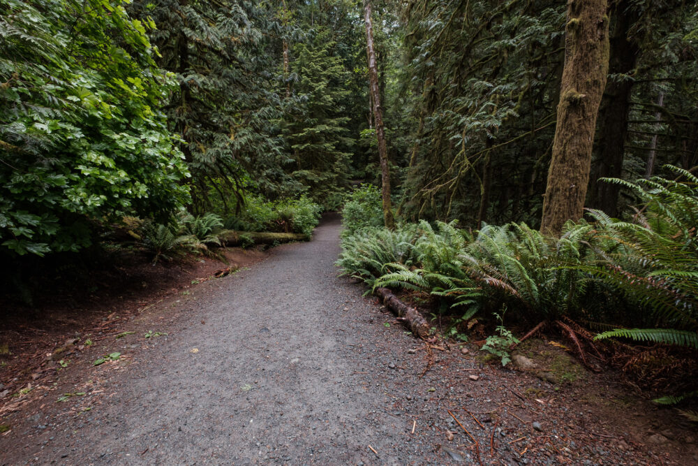 Trail at Chemainus Lake Park