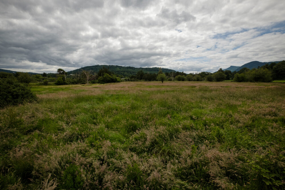 Farm Field