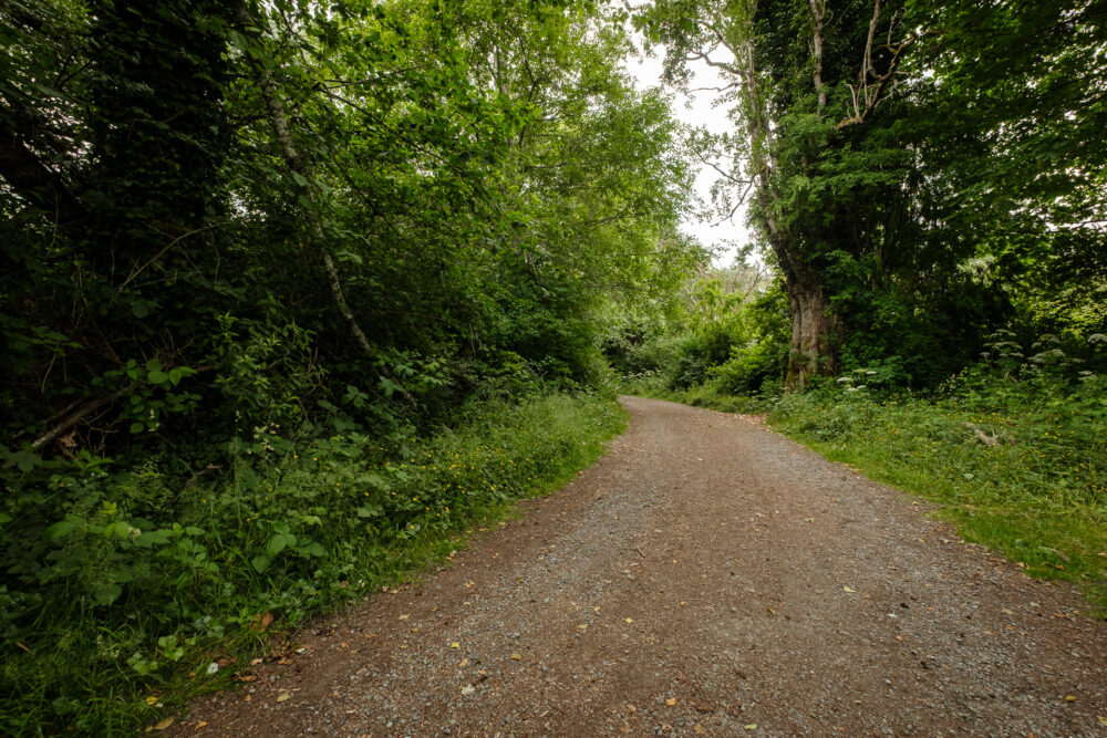 Farm Road Trail