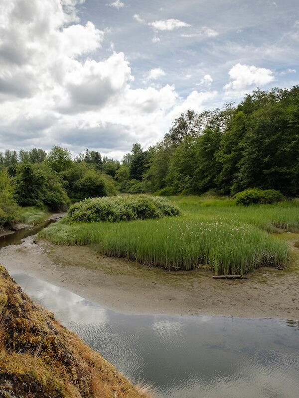 Chemainus River: Tidal Sloughs and Great Views
