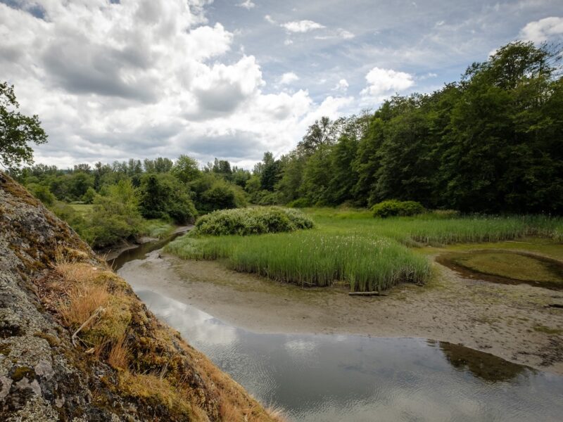 Chemainus River: Tidal Sloughs and Great Views