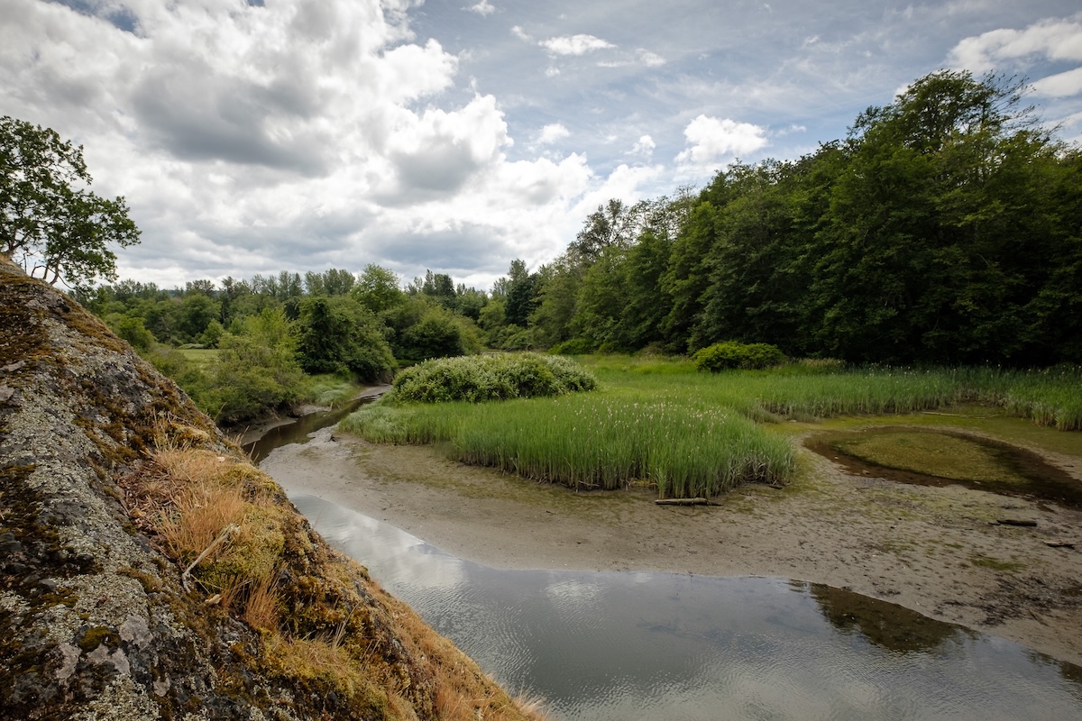 Chemainus River: Tidal Sloughs and Great Views