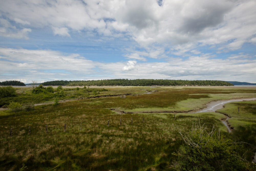 Halalt Island, Chemainus River Estuary