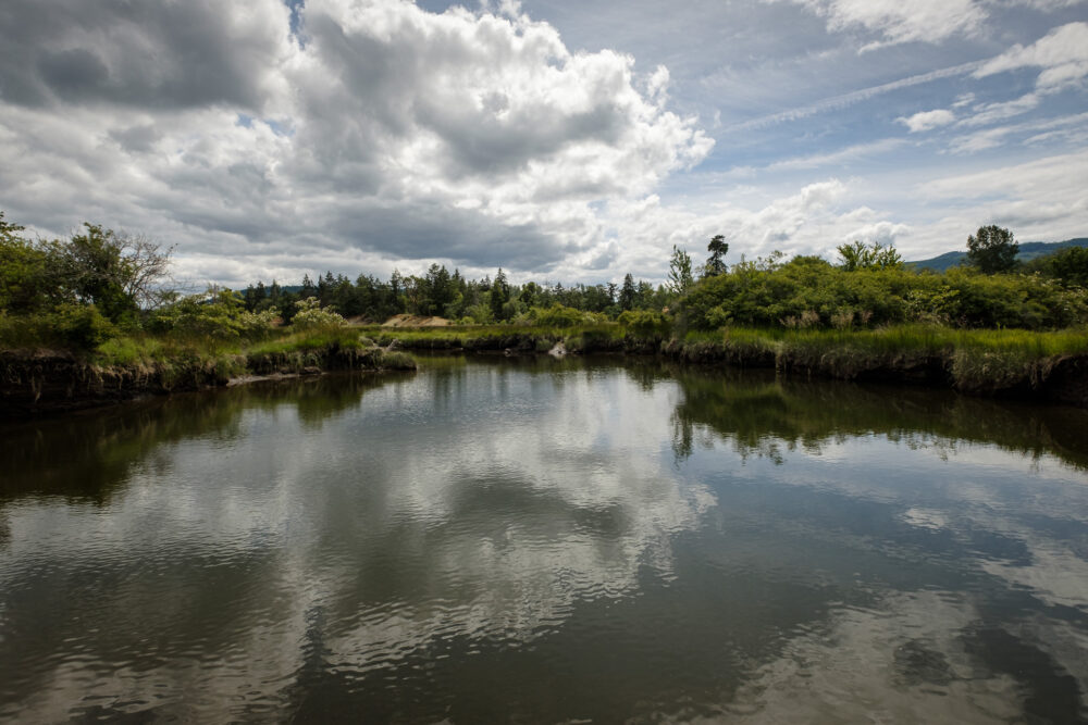 Chemainus River