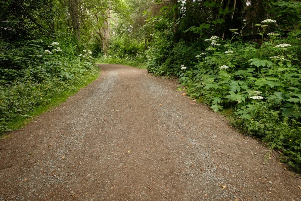 Farm Access Road